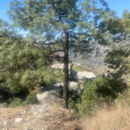 Aditya Homestay Dalhousie Esterno foto