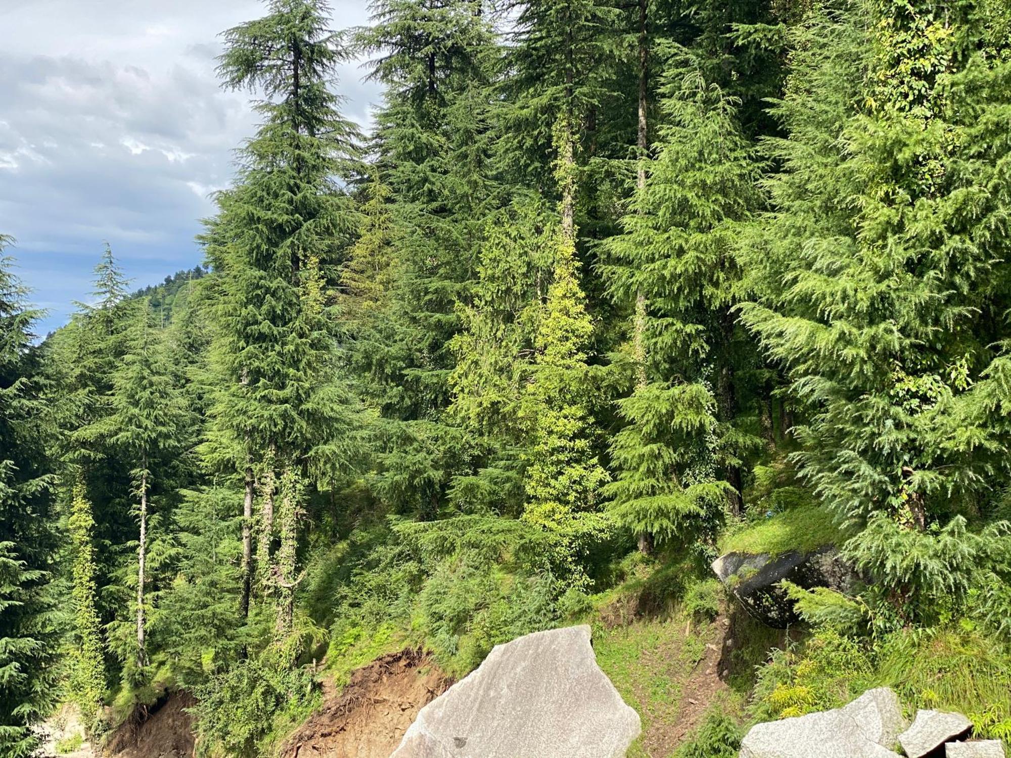 Aditya Homestay Dalhousie Esterno foto