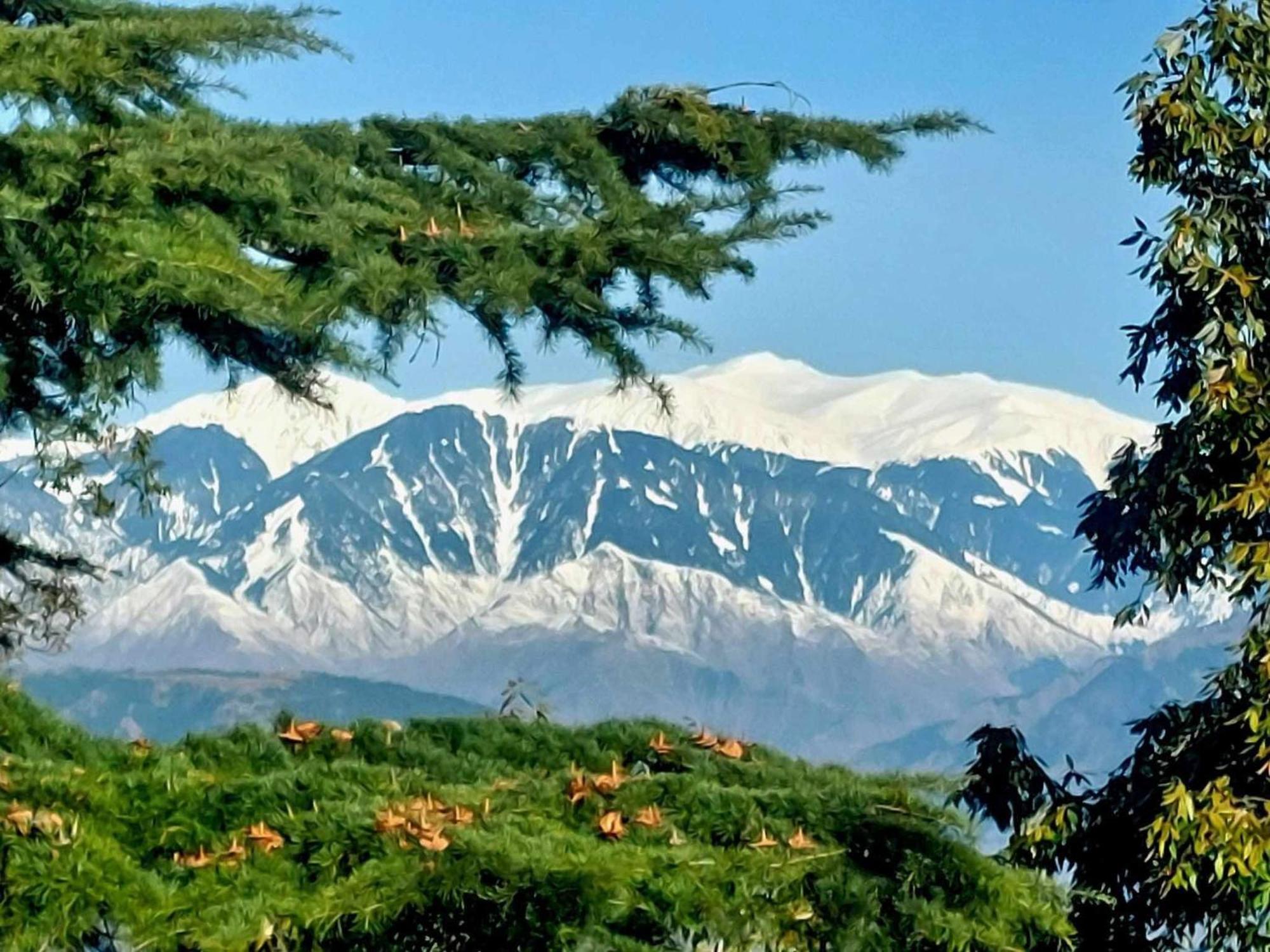 Aditya Homestay Dalhousie Esterno foto